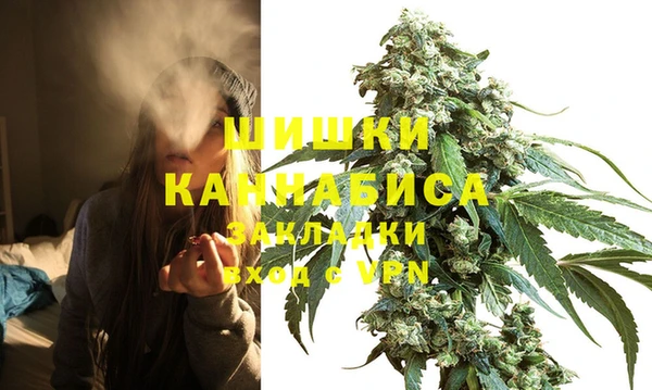 винт Арсеньев