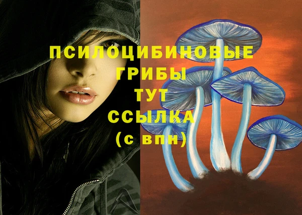 метадон Армянск