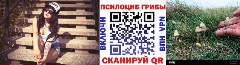 Псилоцибиновые грибы мухоморы  Строитель 